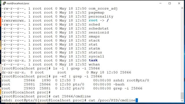 Proc Directory(proc filesystem) смотреть онлайн
