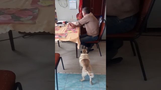 Очень кушать хочется! смотреть онлайн