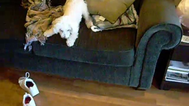 Jake's Royal carriage scene смотреть онлайн