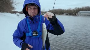 Ловля жереха на спиннинг. Какие блесны работают - Fishing Today