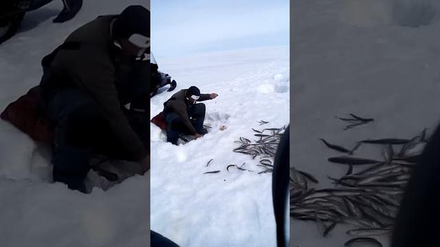 Рыбалка на Амур приезжай к нам 89626788384 смотреть онлайн