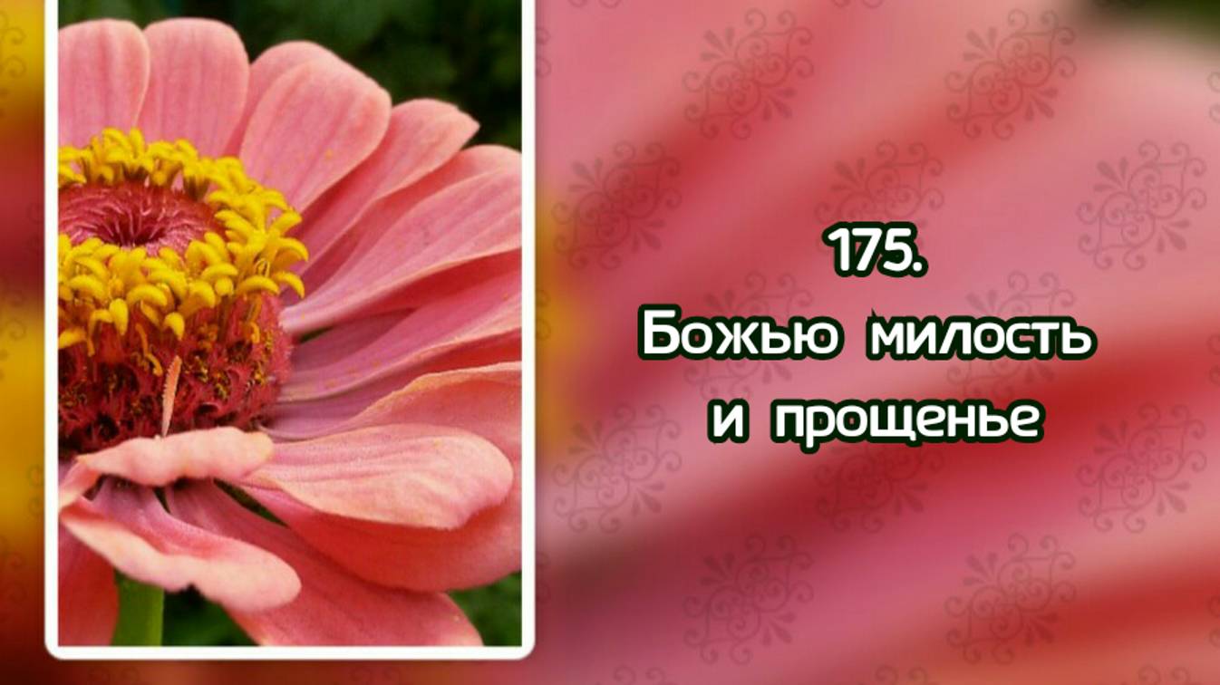 Гимны надежды 175 Божью милость и прощенье (-) смотреть онлайн