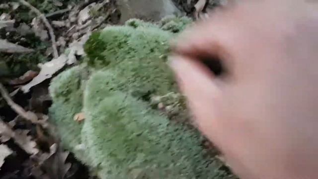 Garett ACE 400I сигнал 72 смотреть онлайн