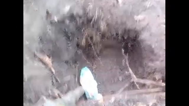 ЗАКОПАЛИ СУХАРИКІ НА 1 ГОД (часть 1) смотреть онлайн