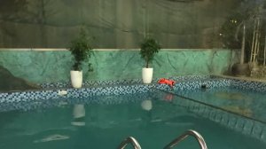 Galina Hotel & spa**** Нячанг, Вьетнам 🇻🇳