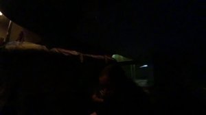 НОВОГОДНИЙ КОВЧЕГ 2018: под стук колёс (новый год в поезде)