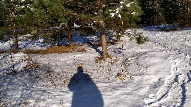 ЗИМА ПРИШЛА НЕОЖИДАННО КАК ОБЫЧНО