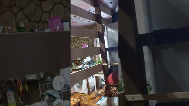 Разделение комнаты. Сам себе мастер смотреть онлайн