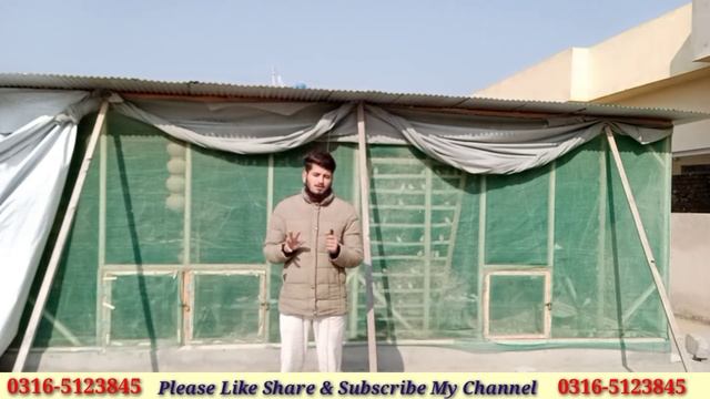 Difference between Finch And Java Chicks | Java Birds Egg Hatching Time Period | Java Breeding Tips смотреть онлайн