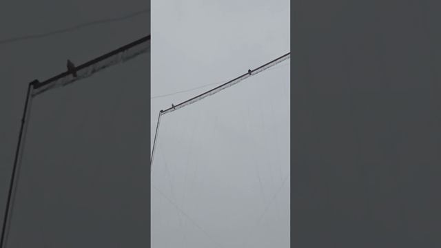 1 февраля 2023 г. смотреть онлайн