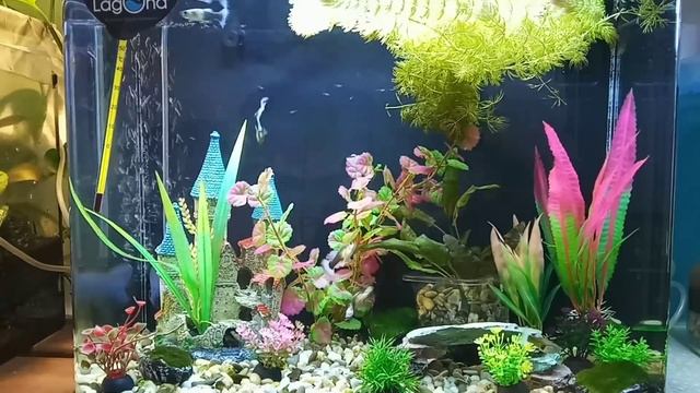 Не знаю что сказать смотреть онлайн