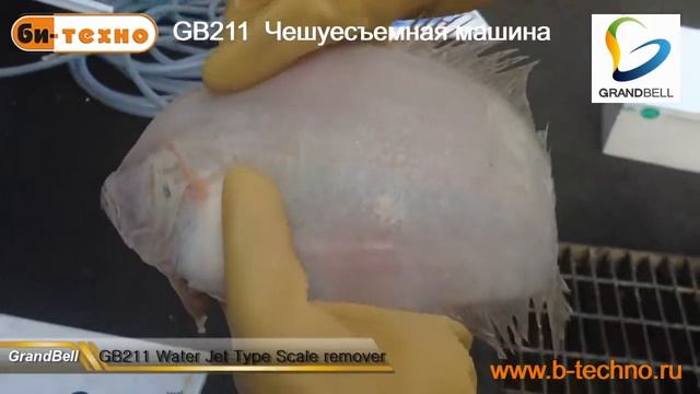 GB211 Автоматическая чешуесъемная машина с водяной струей смотреть онлайн