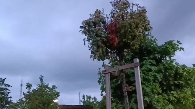 Сиде. Смотровая площадка и водопад в Манавгате. Турция. смотреть онлайн