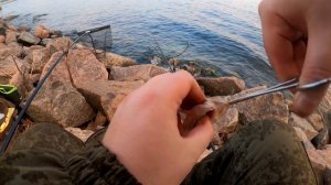 Рыбалка в Спб.Дамба.Ночной врыв за Лещом на Фидер