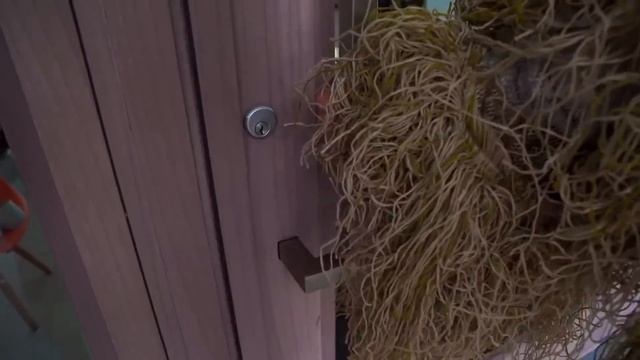 Сеня и веселые видео про Машинки и Сонного Папу смотреть онлайн