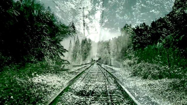 Midnight Train Official Video - My Backyard featuring John Lindberg смотреть онлайн