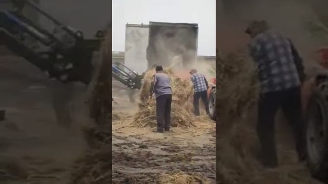 Сенокос подошел к концу 31.08.2021 смотреть онлайн