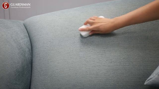 Guardsman Fabric Cleaner смотреть онлайн