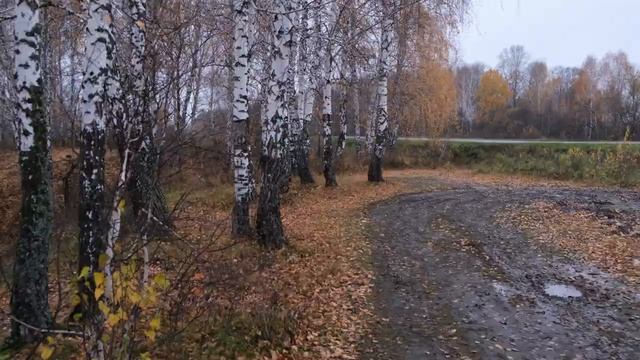 Убежала собака Хаски! Спас GPS - трекер Jet Pet Doggy. Обзор смотреть онлайн