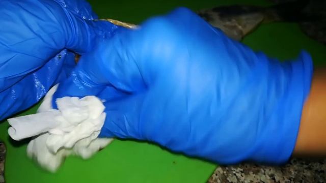 Как почистить селедку быстро и без костей. Как разделать селёдку смотреть онлайн