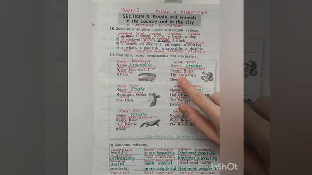 4 класс. ГДЗ. Английский язык. Рабочая тетрадь. Биболетова. Страницы 27-28. С комментированием смотреть онлайн