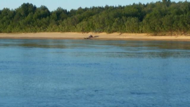 ПРИРОДА/ШАШЛЫКИ/РЫБАЛКА смотреть онлайн