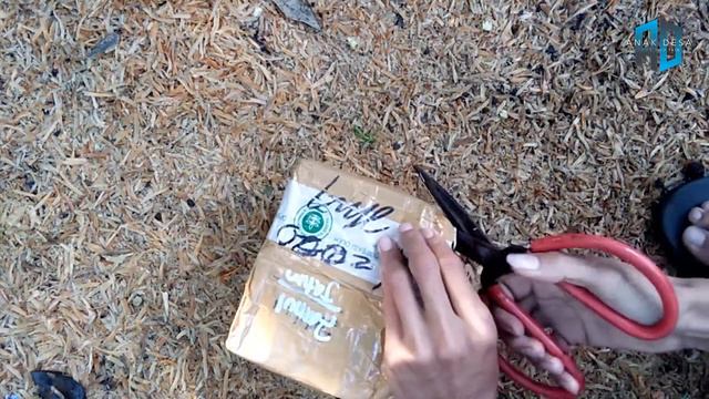 Unboxing Tanaman Hias Alocasia Silver Dragon Dari Kalimantan смотреть онлайн