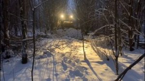 Пробиваем просеку в лесу бульдозером Т 130 Т 170.