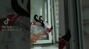 драконы из тик тока