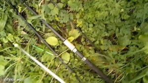 Отзыв на удочку KAIDA SPIRADO