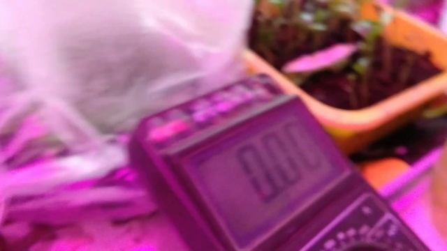 12В/5 Ампер*Час - Литий-ионный аккумулятор под нагрузкой смотреть онлайн
