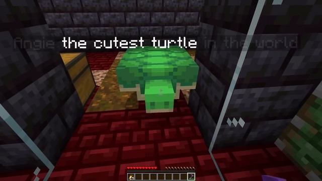 I Made An Escape Room For My Friends In Minecraft...