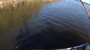 Рыбалка на финском заливе в сентябре, ловим судака, окуня.