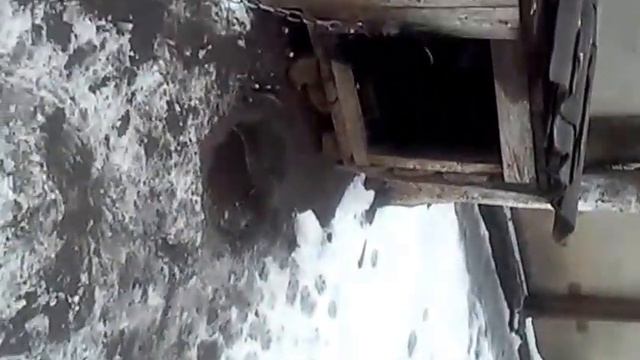 очень ленивая собака смотреть онлайн
