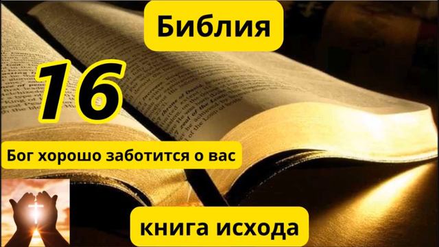 Глава 16 Исход смотреть онлайн