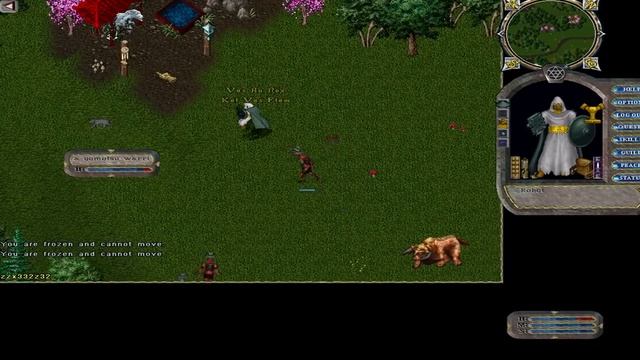 Лучшие истории из MMO-игр созданные игроками. Наследие Лироя Дженкинса. смотреть онлайн