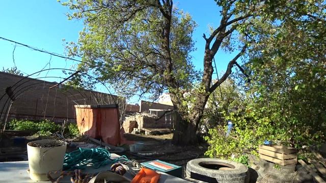 Работа по спилу дерева смотреть онлайн