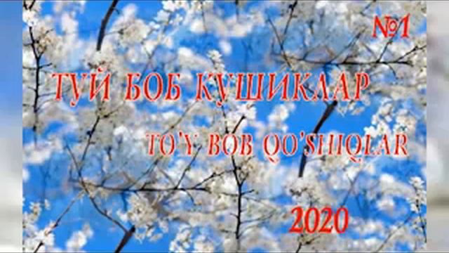 Tõy bob qõshiqlar 💃💃🌷🌷🤩💥💥💥💥💥 смотреть онлайн