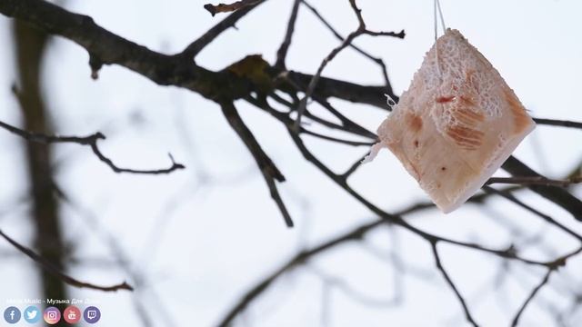 Красивая Мелодия До Слез! Лечебная музыка для сердца и сосудов! До слез красивая мелодия смотреть онлайн