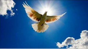 МОЛИТВЫ УТЕШЕНИЯ (С ОТЦОМ ЕВГЕНИЕМ САМАРКИНЫМ )