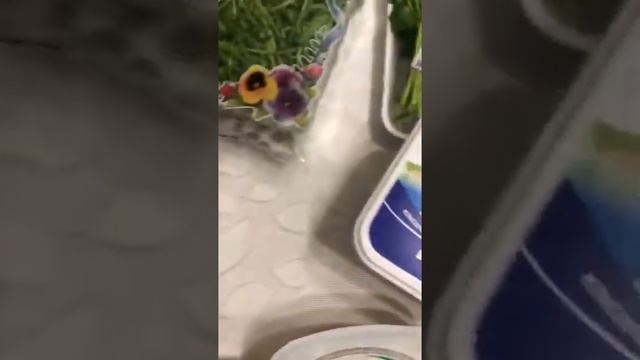 мед похудение смотреть онлайн