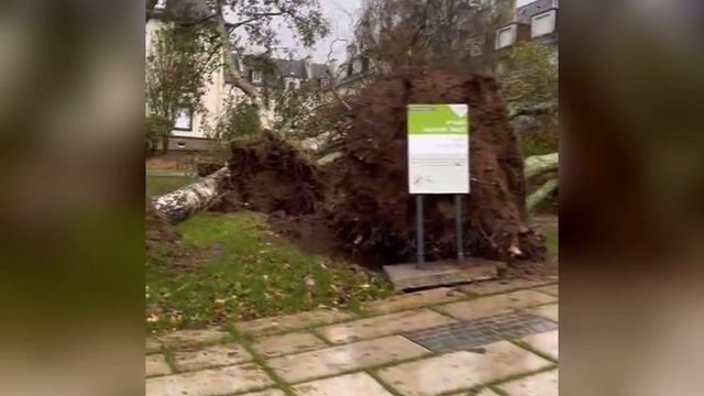 The wrath of nature rages in France! A destructive storm of 170 km/h hit Bretagne смотреть онлайн