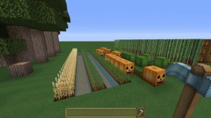 Как быстро вырастить огород с помощью команды в Minecraft