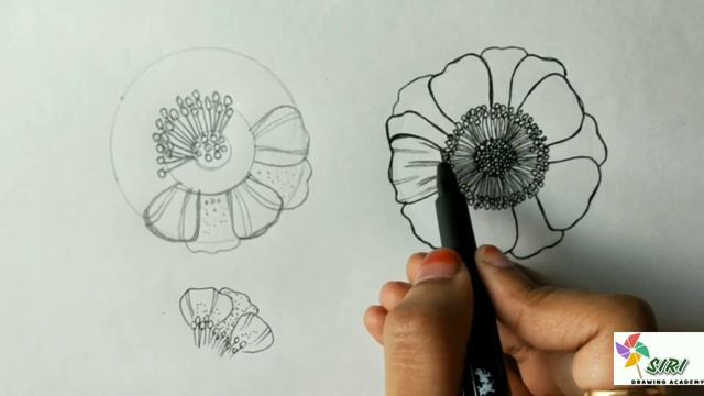 Easy Anemone flower step by step drawing смотреть онлайн