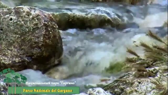 ? Национальный парк "Гаргано" (Parco Nazionale del Gargano) в Италии смотреть онлайн
