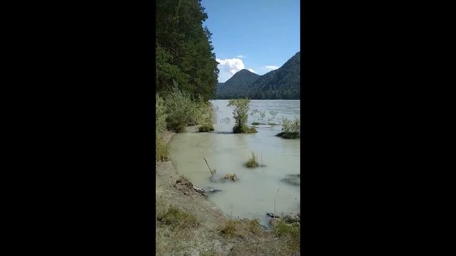 Строительная компания POLLI STROY. Сдача объекта в ПАРКЕ ЧЕПОШ на реке КАТУНЬ. Горный Алтай смотреть онлайн