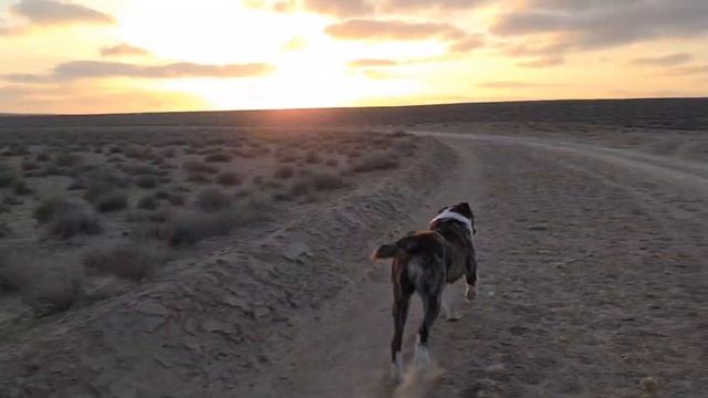 тихо тихо готовимся 16ого в Бой! смотреть онлайн