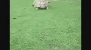 Есть друзья а для них у друзей нет выходных.