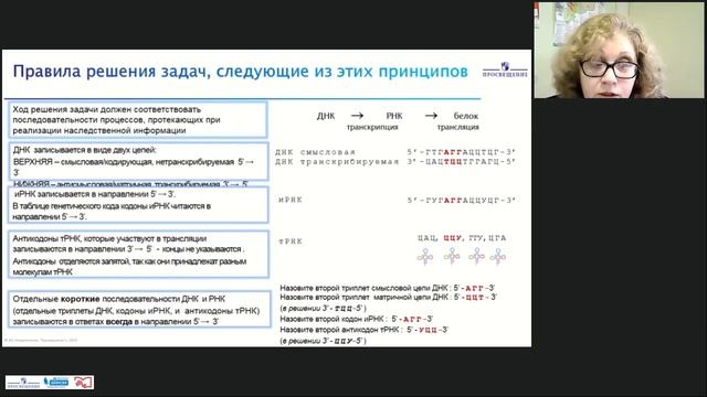 Онлайн-урок. Подготовка к ГИА по биологии. Задачи раздела "Клетка как биологическая система" смотреть онлайн