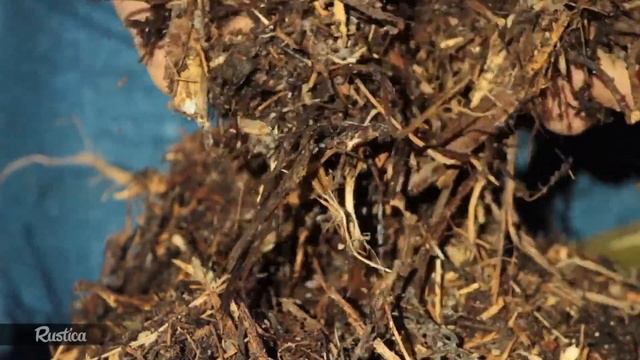 Que composter : la liste des déchets autorisés смотреть онлайн